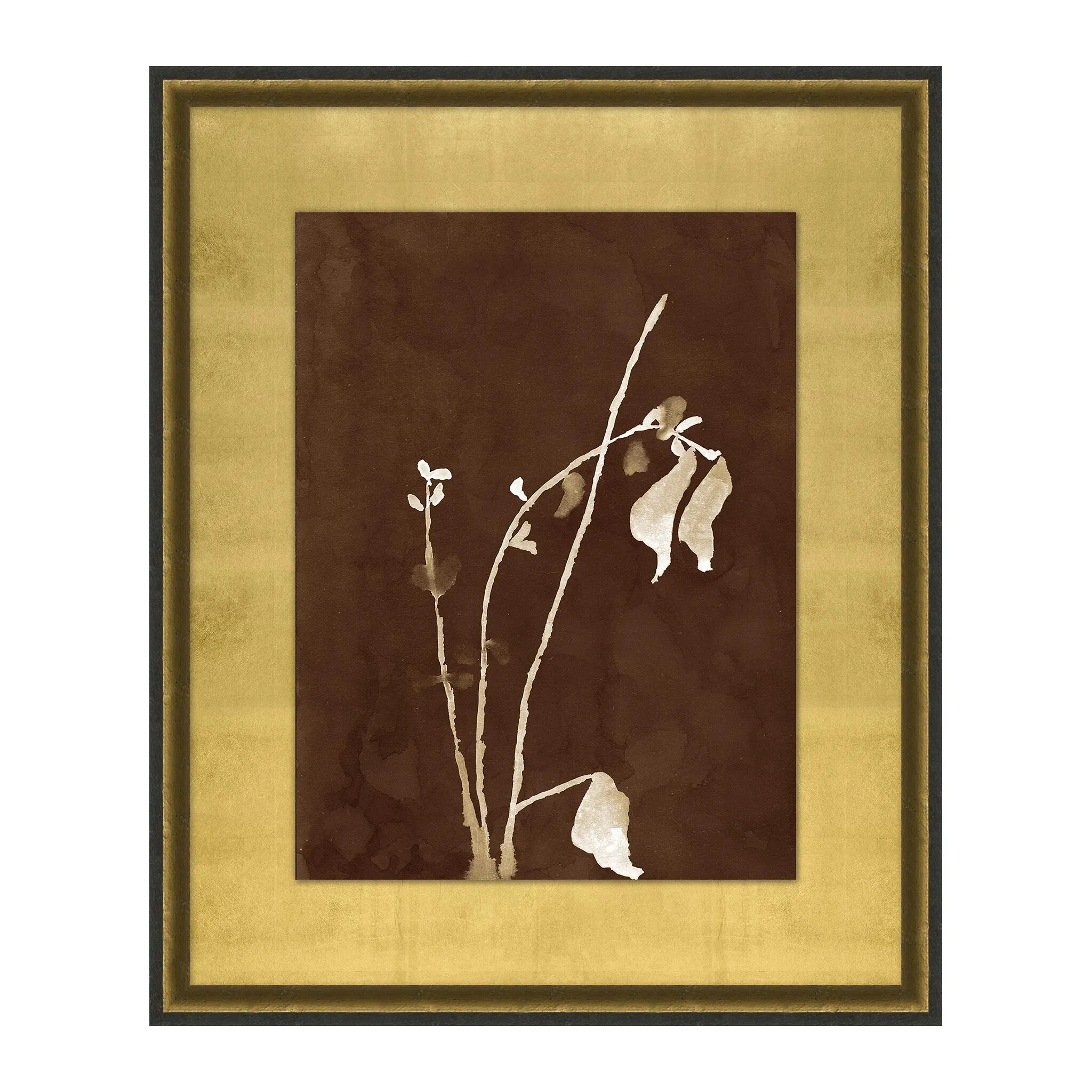 Botanist Study 2